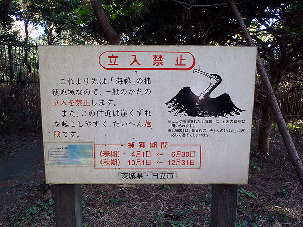 鵜の岬